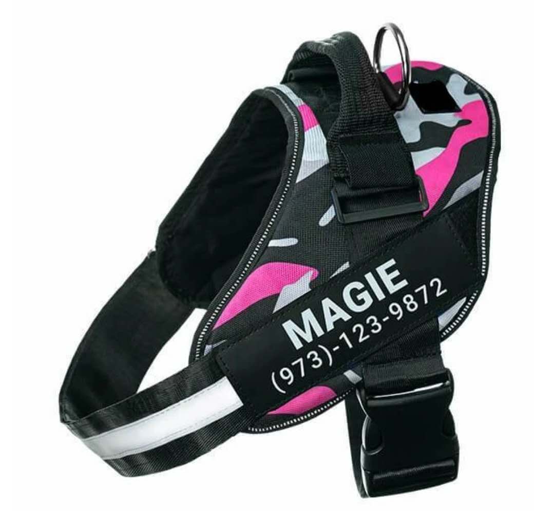 Custom No-Pull Reflective Dog Harness – Safe & Comfy