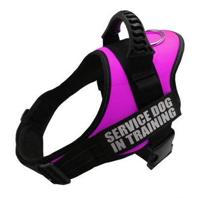 Custom No-Pull Reflective Dog Harness – Safe & Comfy
