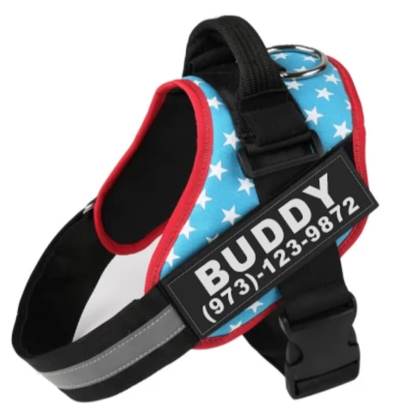 Custom No-Pull Reflective Dog Harness – Safe & Comfy