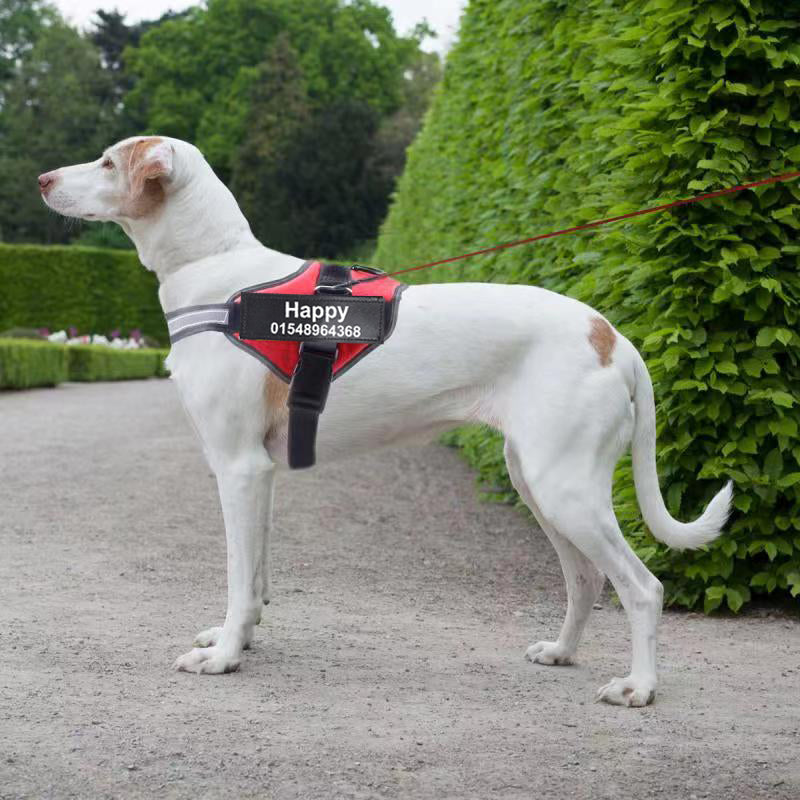 Custom No-Pull Reflective Dog Harness – Safe & Comfy