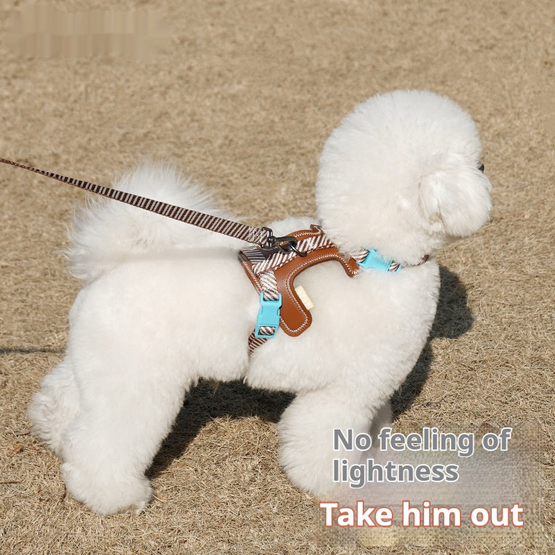 Comfort Fit No-Pull Dog Harness with Matching Leash