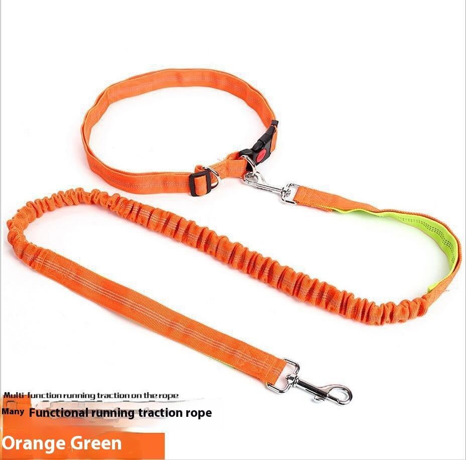Shock-Absorbing Reflective Dog Leash for Night Runs