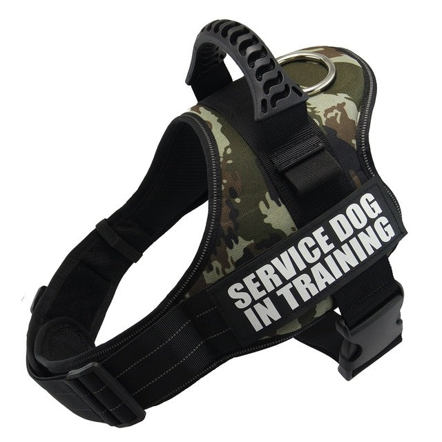 Custom No-Pull Reflective Dog Harness – Safe & Comfy