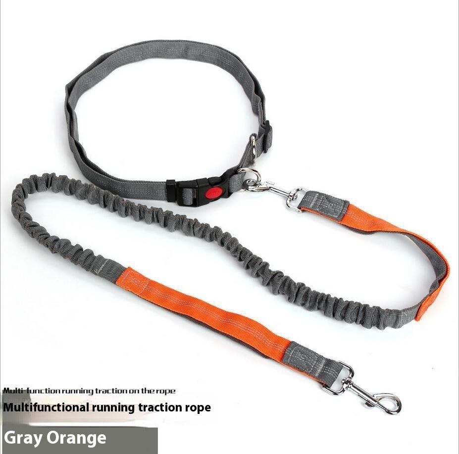 Shock-Absorbing Reflective Dog Leash for Night Runs