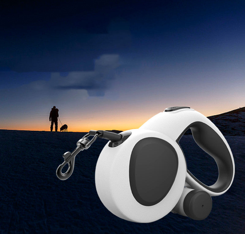 LED Light-Up Dog Leash for Nighttime Adventures