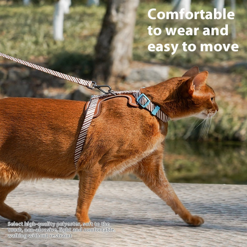 Comfort Fit No-Pull Dog Harness with Matching Leash