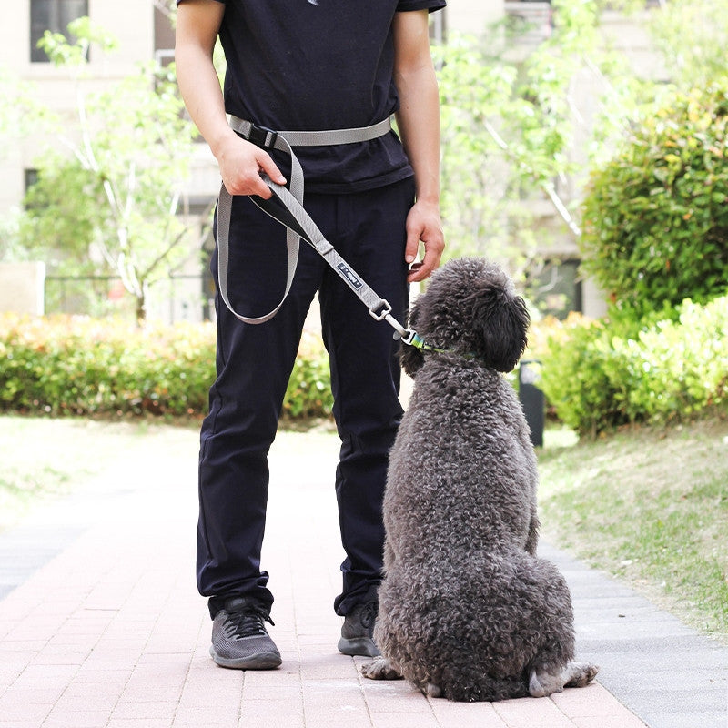 Hands-Free Running Dog Leash for Active Adventures
