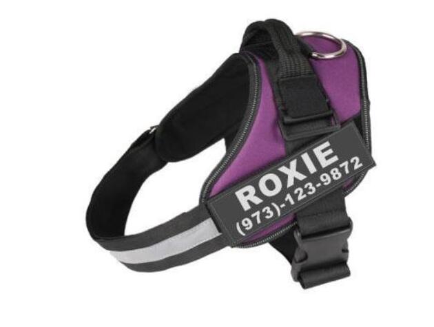 Custom No-Pull Reflective Dog Harness – Safe & Comfy