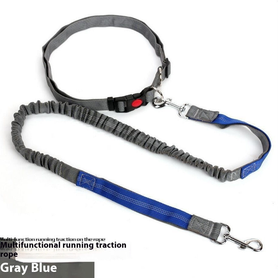Shock-Absorbing Reflective Dog Leash for Night Runs