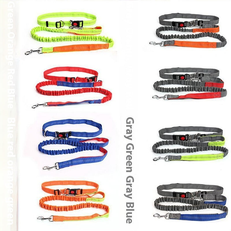 Shock-Absorbing Reflective Dog Leash for Night Runs