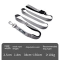 Hands-Free Running Dog Leash for Active Adventures
