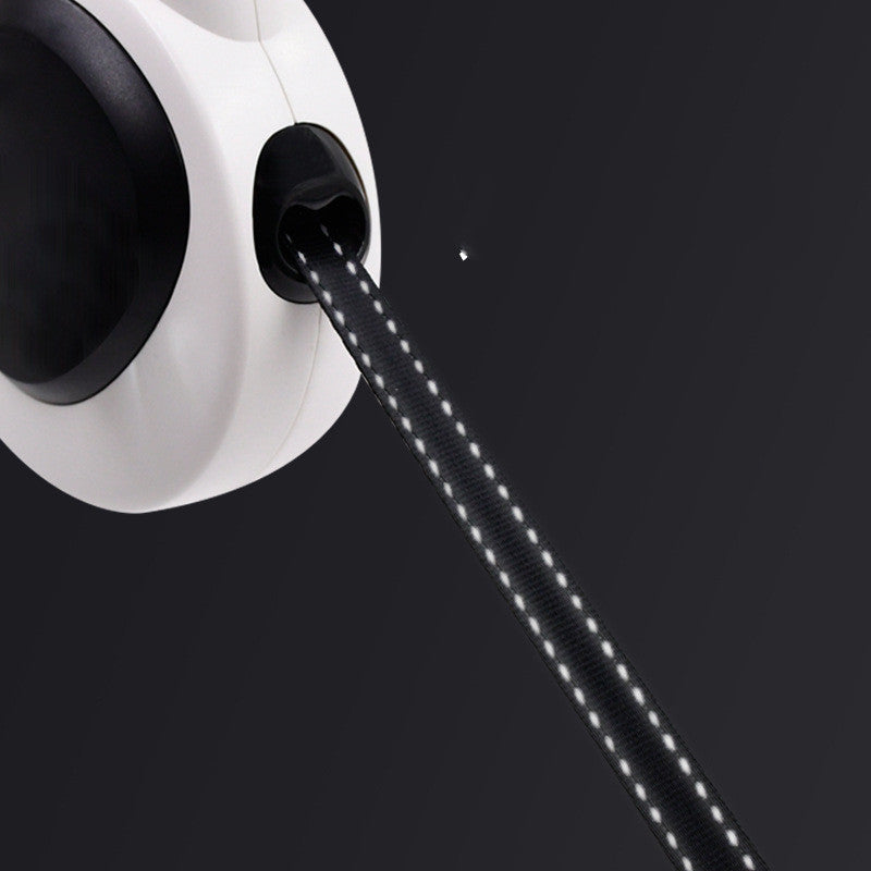 LED Light-Up Dog Leash for Nighttime Adventures