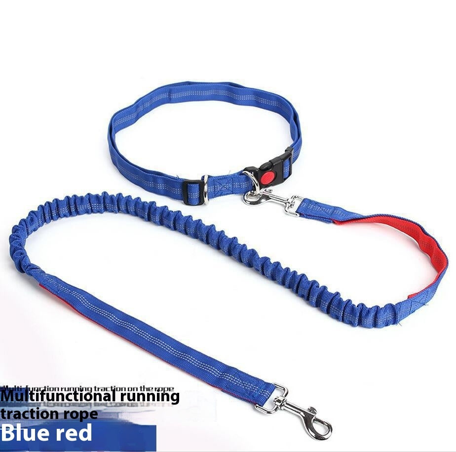 Shock-Absorbing Reflective Dog Leash for Night Runs