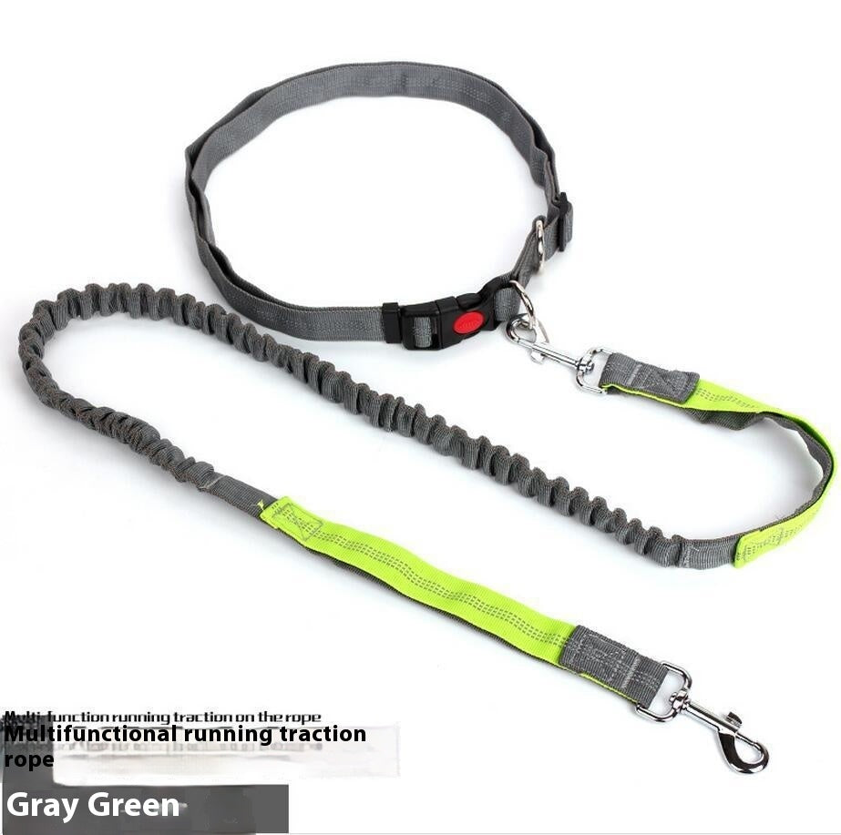 Shock-Absorbing Reflective Dog Leash for Night Runs