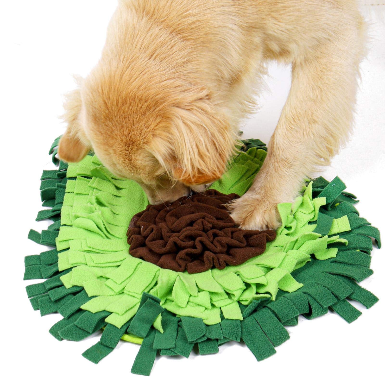 Snuffle Feeding Mat That Mentally Stimulates Your Dog