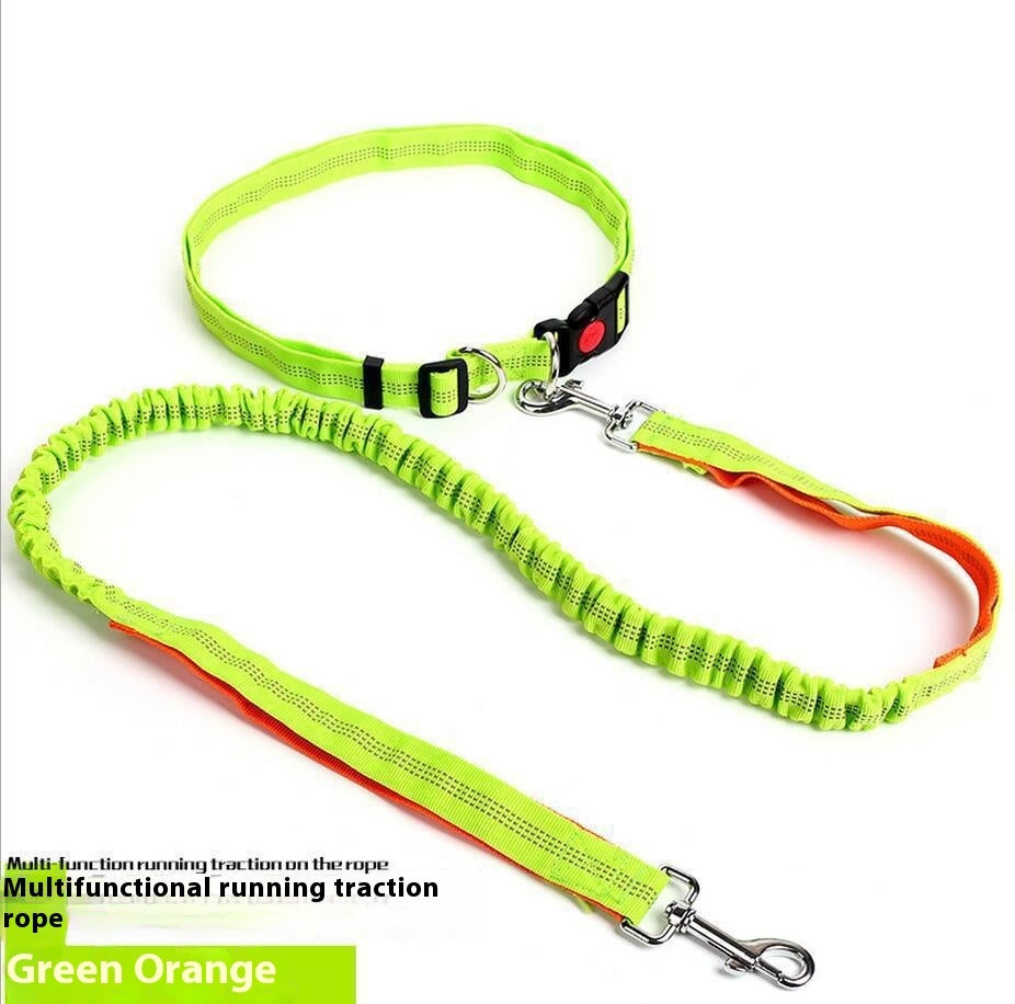 Shock-Absorbing Reflective Dog Leash for Night Runs