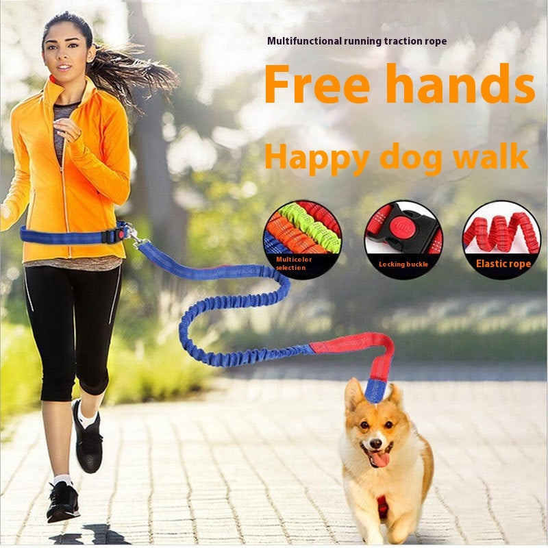 Shock-Absorbing Reflective Dog Leash for Night Runs
