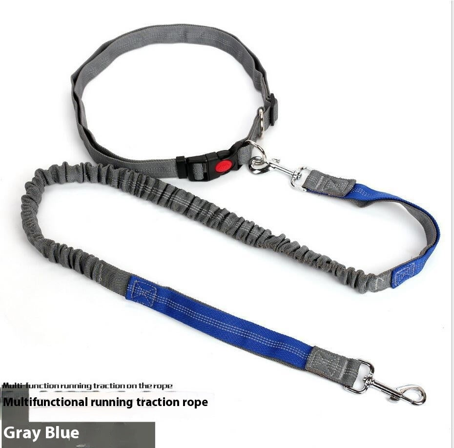 Shock-Absorbing Reflective Dog Leash for Night Runs