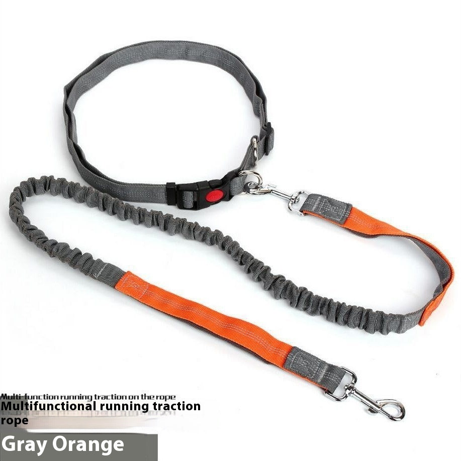 Shock-Absorbing Reflective Dog Leash for Night Runs