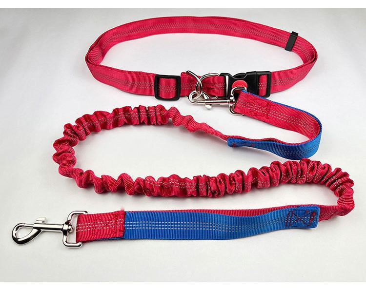 Shock-Absorbing Reflective Dog Leash for Night Runs