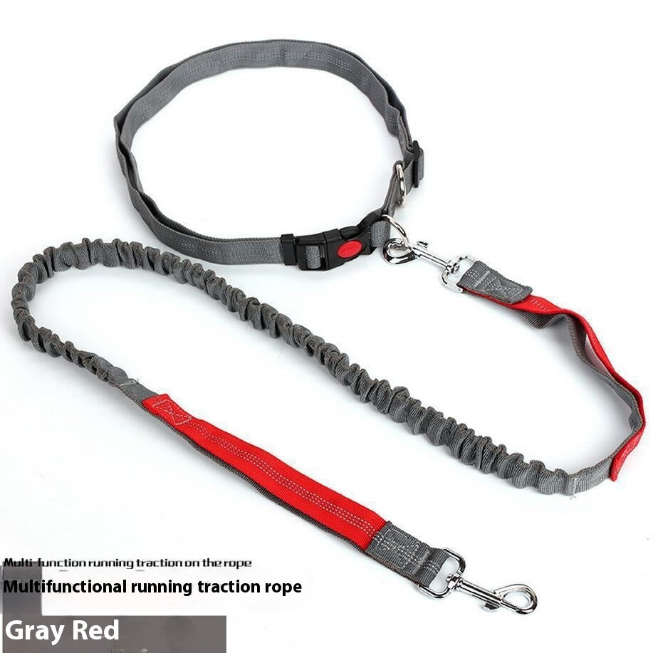 Shock-Absorbing Reflective Dog Leash for Night Runs